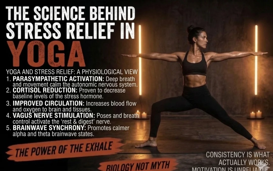 The Science Behind Stress Relief in Yoga